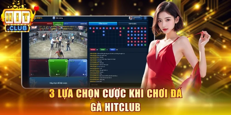 3 lựa chọn cược khi chơi đá gà Hitclub