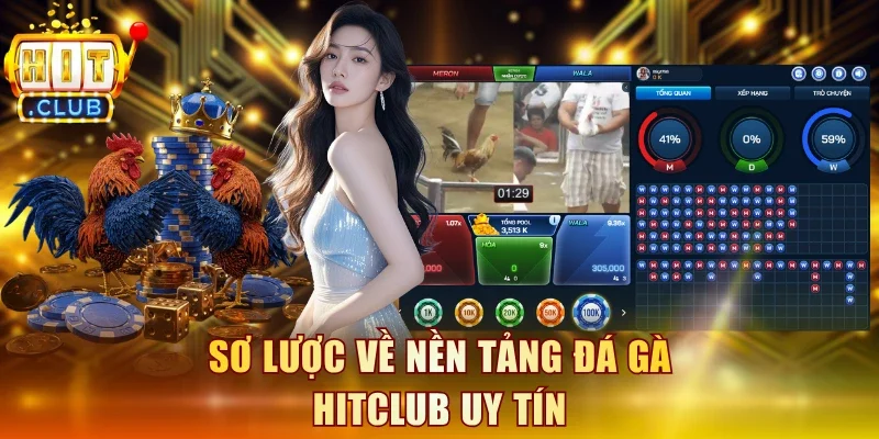 Sơ lược về nền tảng đá gà Hitclub uy tín