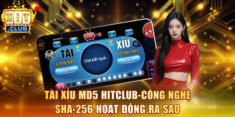 Tài Xỉu MD5 Hitclub